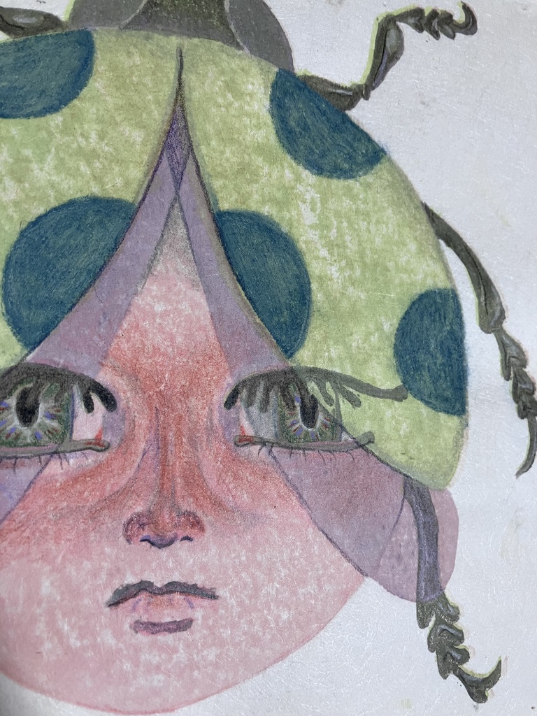 ナミテントウ(黄緑)