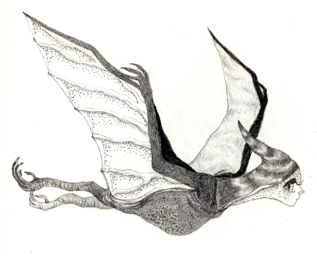 『プテラノドン』原画