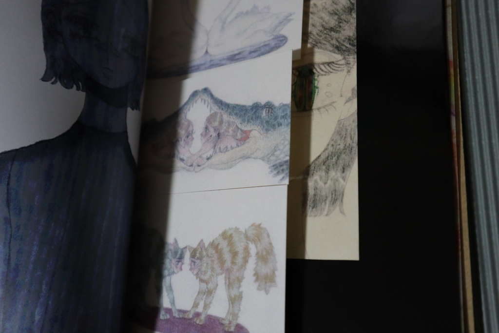 アートブック『SOUL』