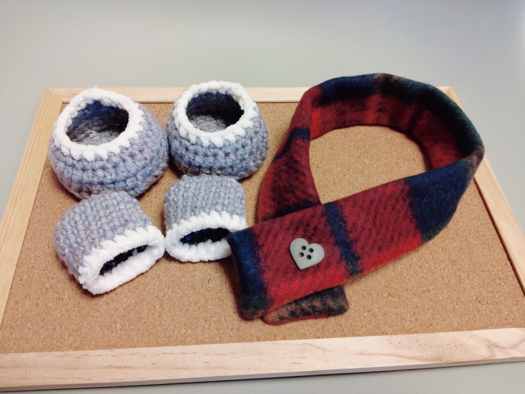 カラーベストセット