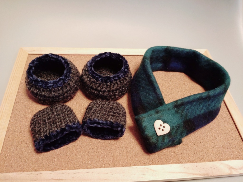 カラーベストセット