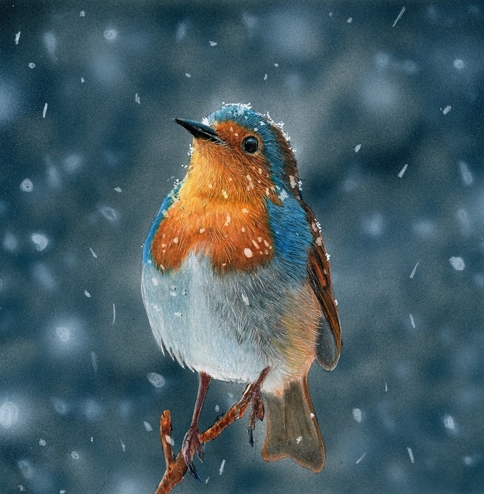 【複製原画】色鉛筆画「粉雪と鳥」額装無