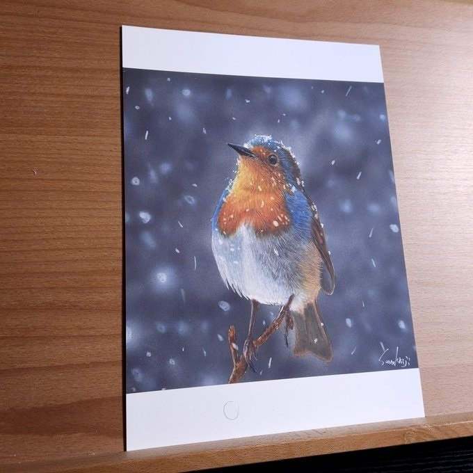 色鉛筆画（複製原画）（額装無し）「トリさん」