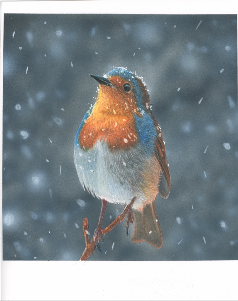 【12/14まで受注販売】色鉛筆画【複製原画】粉雪と鳥 (額装無し)