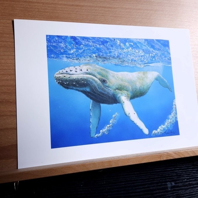 色鉛筆画（複製原画）（額装無し）「クジラ」