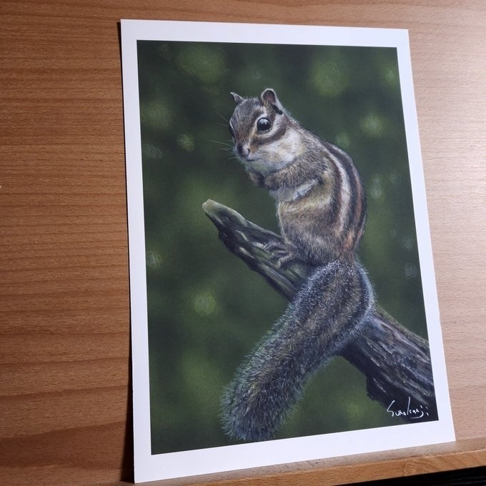 色鉛筆画（複製原画）（額装無し）「リス」