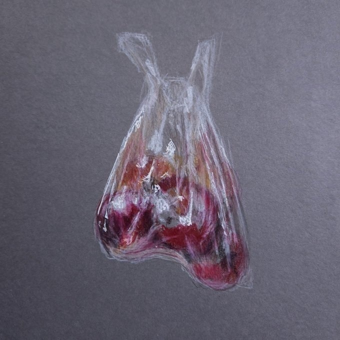 色鉛筆画（原画）（額装済み）「りんご」
