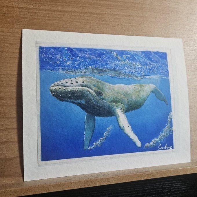 【複製原画】色鉛筆画「クジラ・パイロット版」額装無