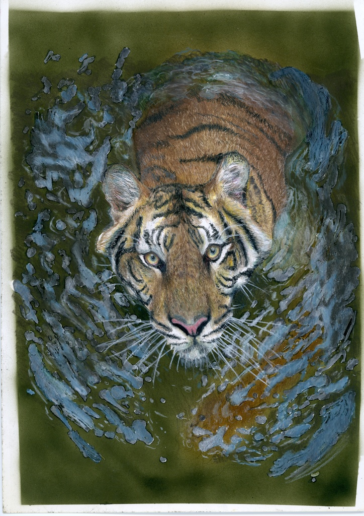 【複製原画】色鉛筆画「トラ」額装無し