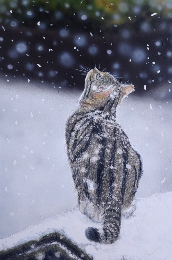 【期間限定受注販売】色鉛筆画 雪と猫【複製原画】（額装無）