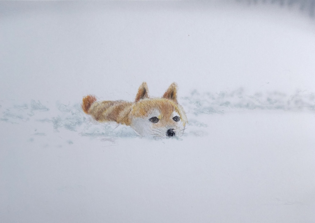 【ミニ原画】色鉛筆画「 雪と柴犬」額装無し