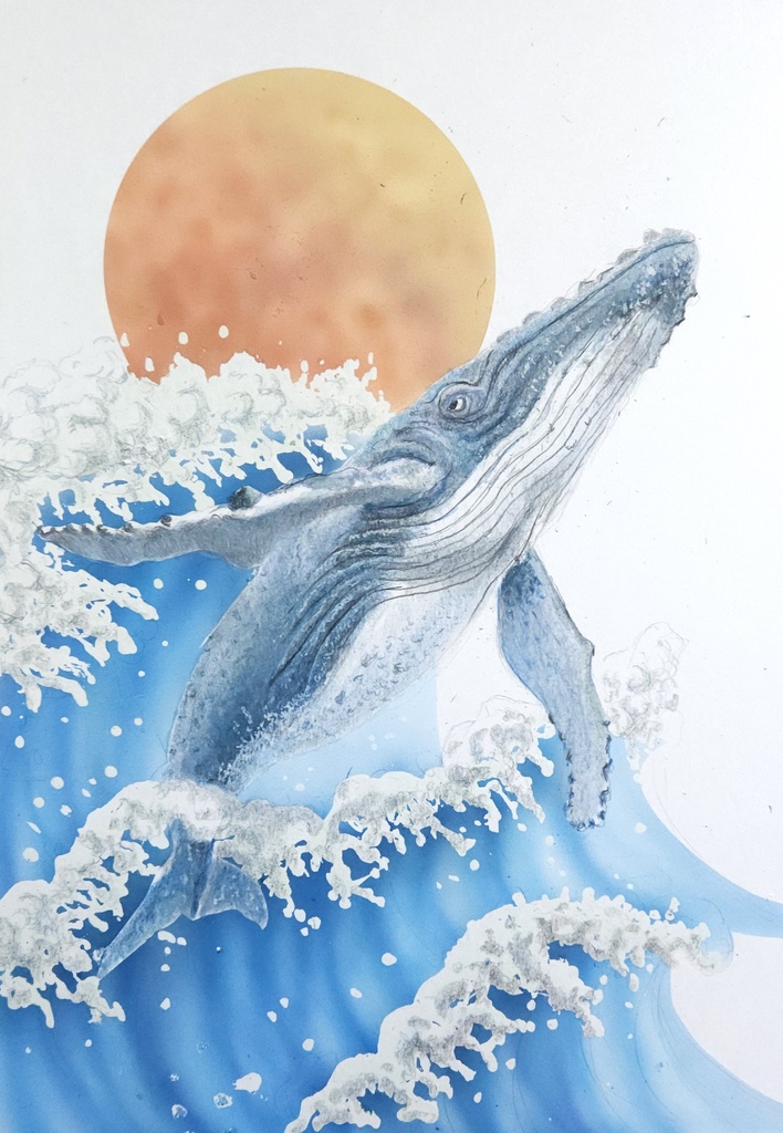 【原画】色鉛筆画 「鯨と波」額装無し