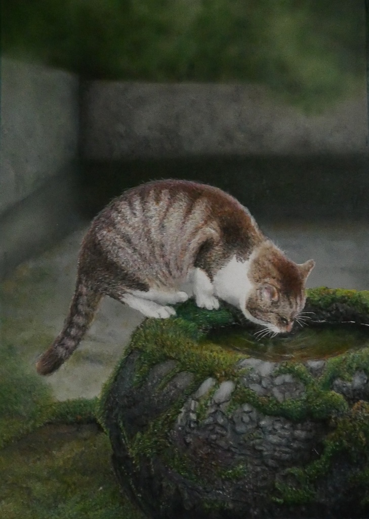 【複製原画】色鉛筆画「水を飲む猫」額装無4/19まで販売