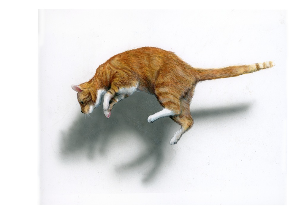 【複製原画】色鉛筆画 「猫ジャンプ」A3サイズ額装無