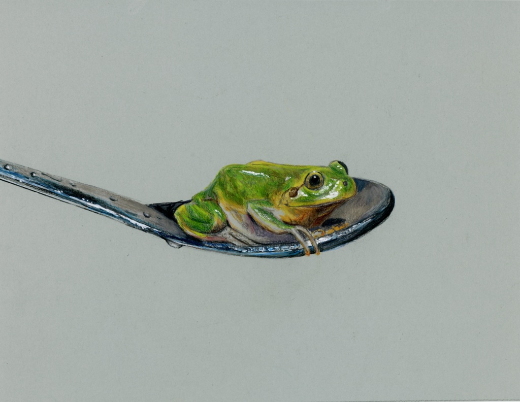 【複製原画】色鉛筆画「スプーンと蛙」額装無