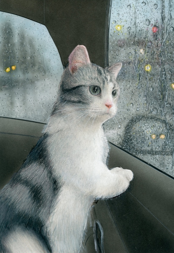 【複製原画】色鉛筆画「雨を見る猫」額装無