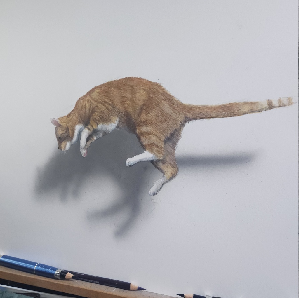 【複製原画】色鉛筆画 「猫ジャンプ」A4版 額装無