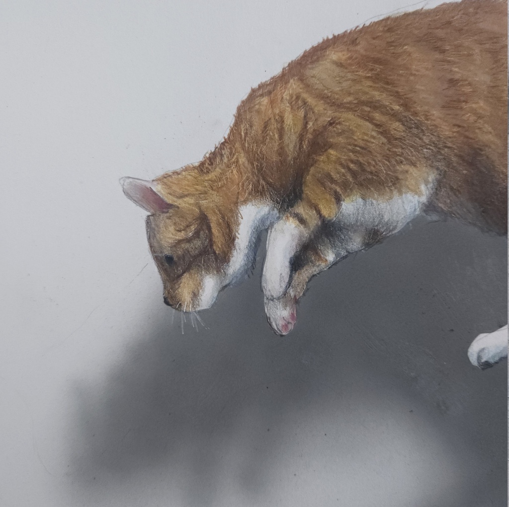 【複製原画】色鉛筆画 「猫ジャンプ」A4版 額装無