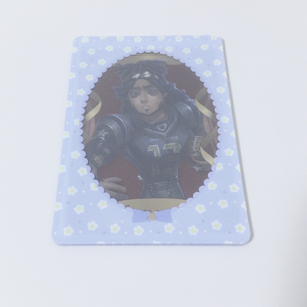 硬質カードケース 【お花畑】