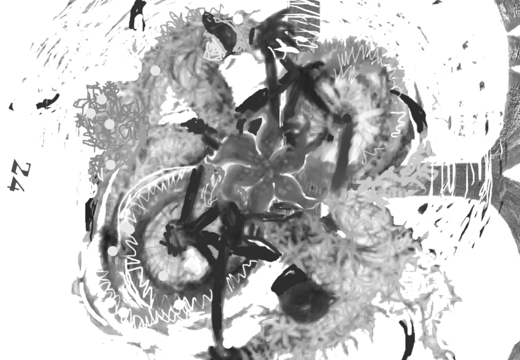 銀上BMXモノクロ