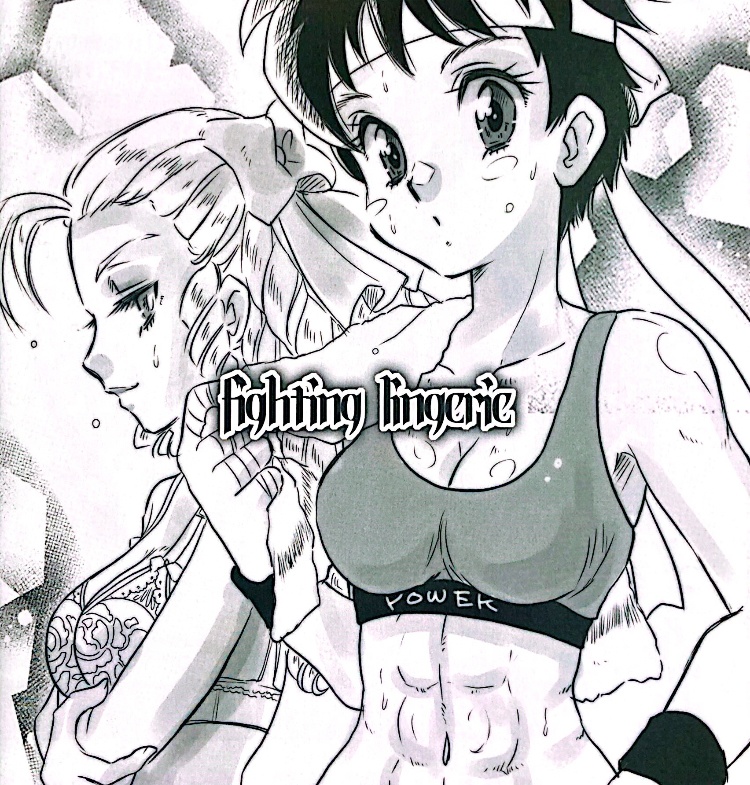 『fighting lingerie』