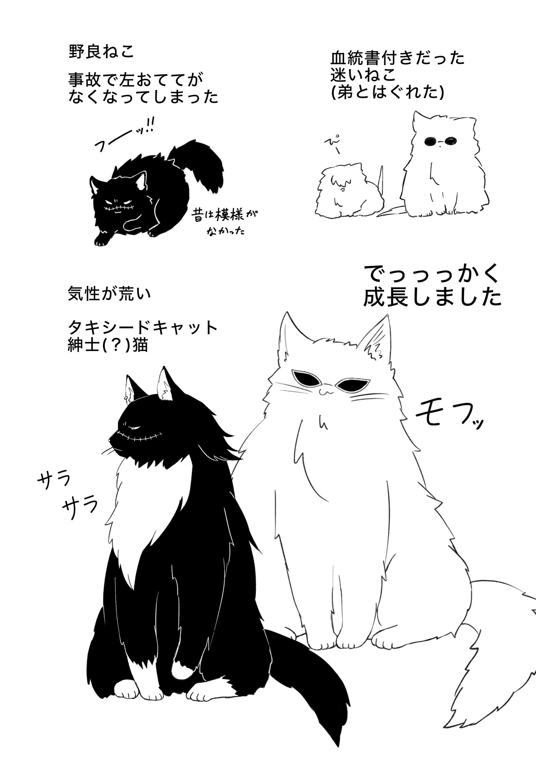 Missive Sub 『SUB missive 言うことを聞かない!』『ドワ猫生』 - 天粉 - BOOTH