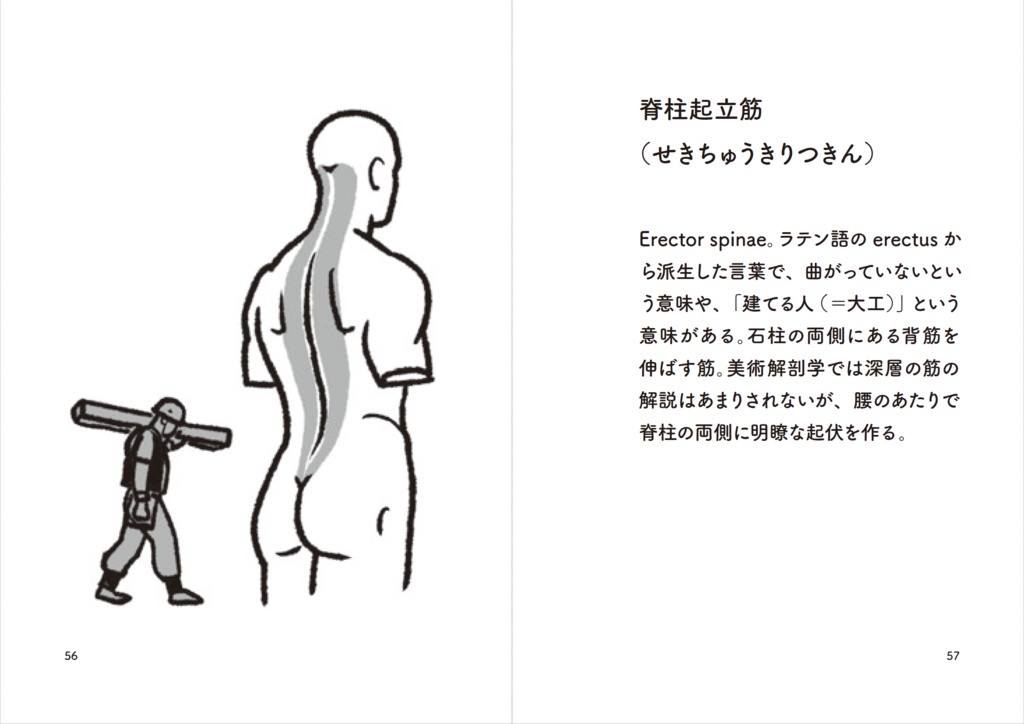 やさしい解剖学用語 電子版