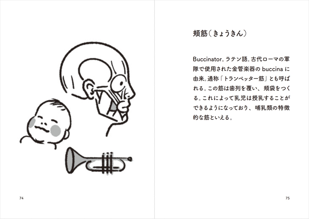 からだの地図帳 解剖学用語 - 医学