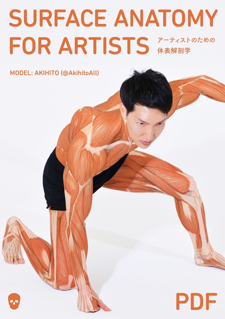 アーティストのための体表解剖学(PDF)
