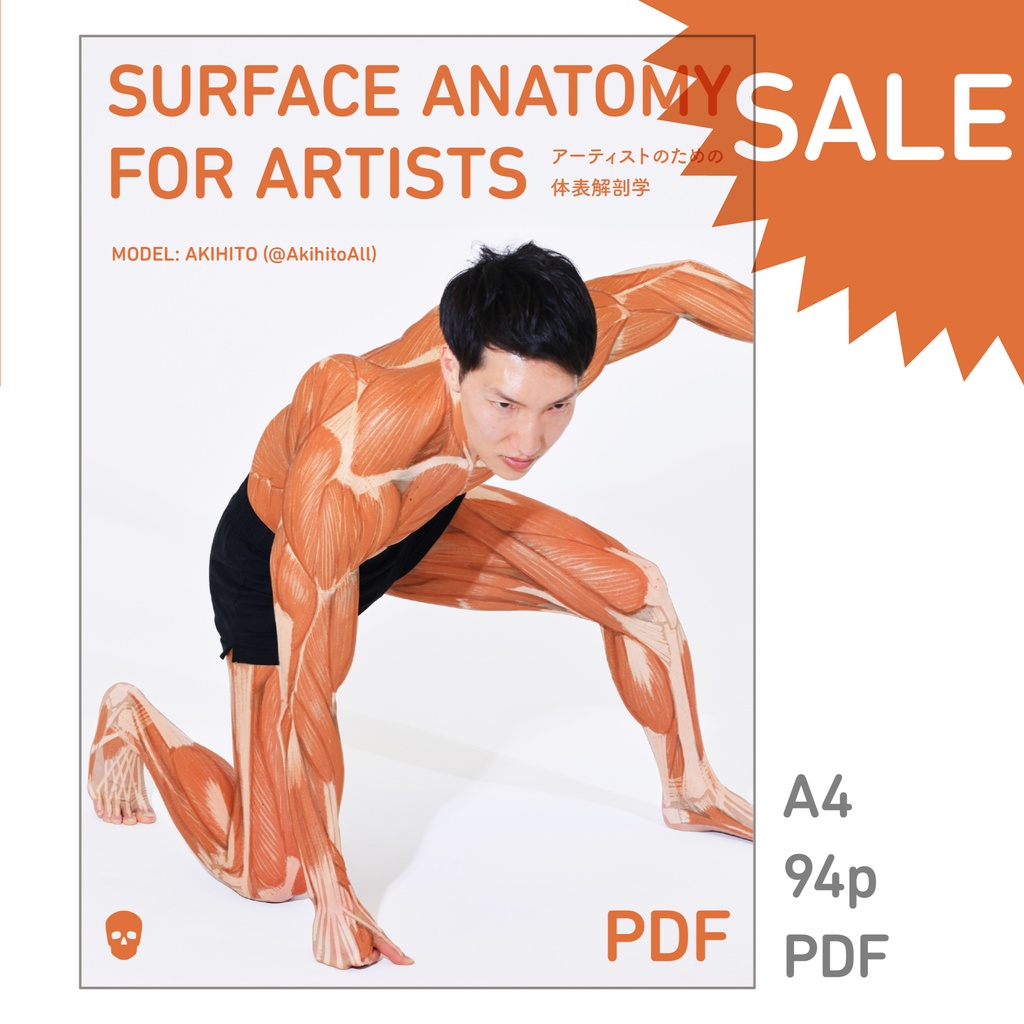 アーティストのための体表解剖学(PDF)
