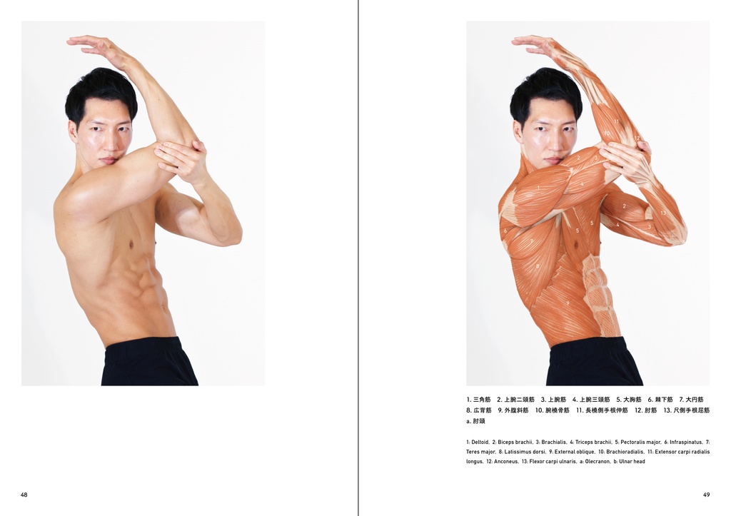 アーティストのための体表解剖学(PDF)