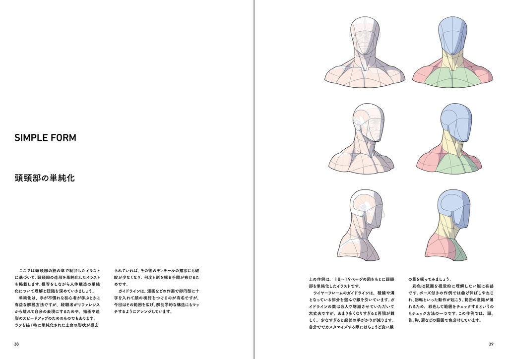 ポートレート・アナトミー・プラス(PDF)