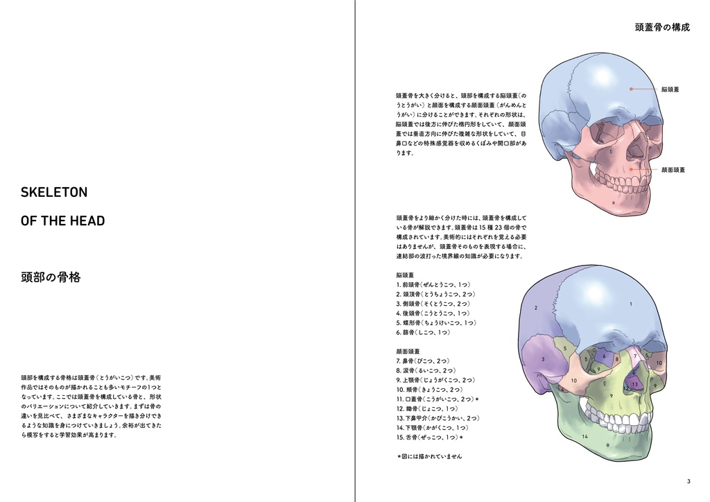 ポートレート・アナトミー・プラス(PDF)