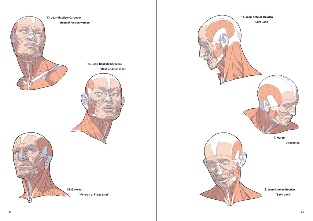 ポートレート・アナトミー・プラス(PDF)