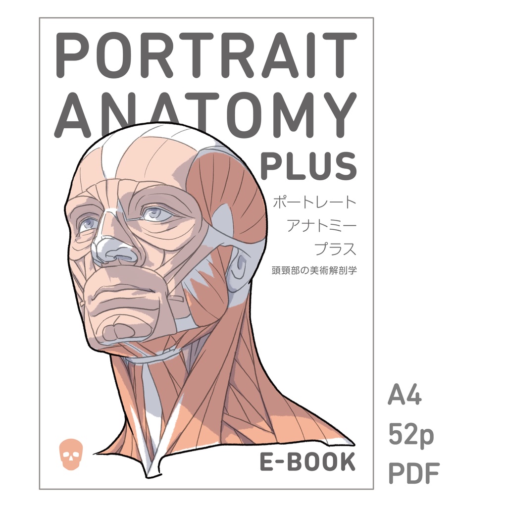 ポートレート・アナトミー・プラス（PDF）