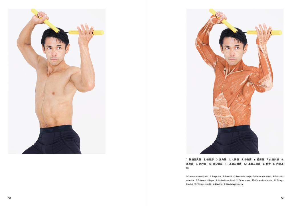 アーティストのための体表解剖学2(PDF)