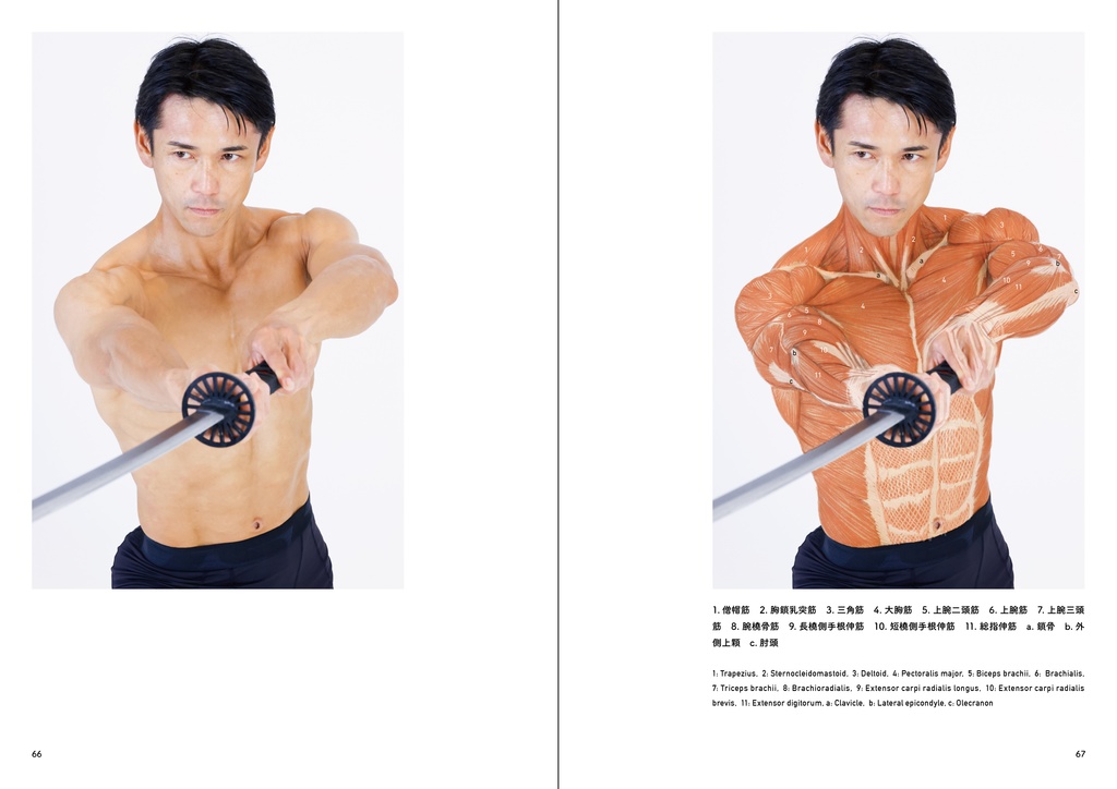 アーティストのための体表解剖学2(PDF)