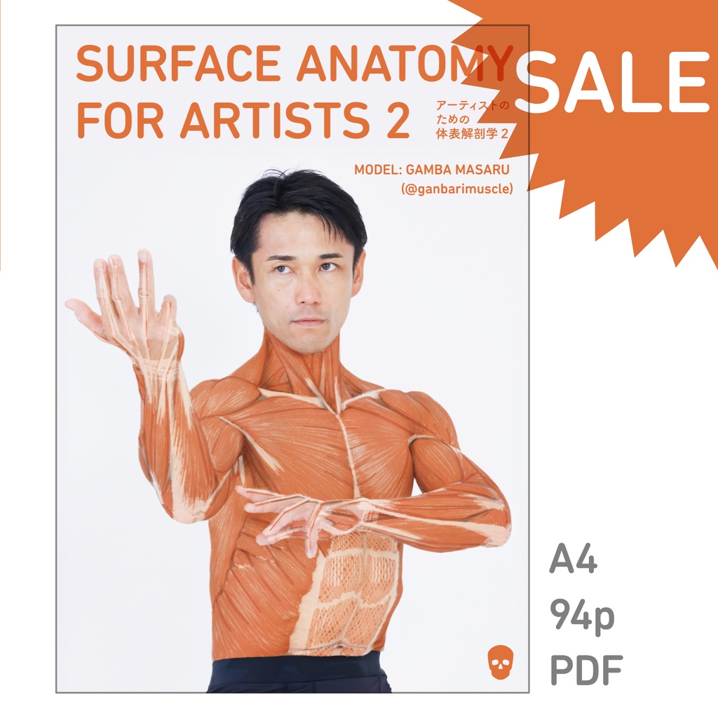 アーティストのための体表解剖学2(PDF)