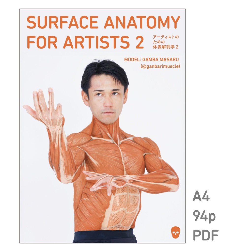 アーティストのための体表解剖学２（PDF）