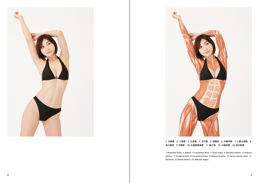 アーティストのための体表解剖学3(PDF)