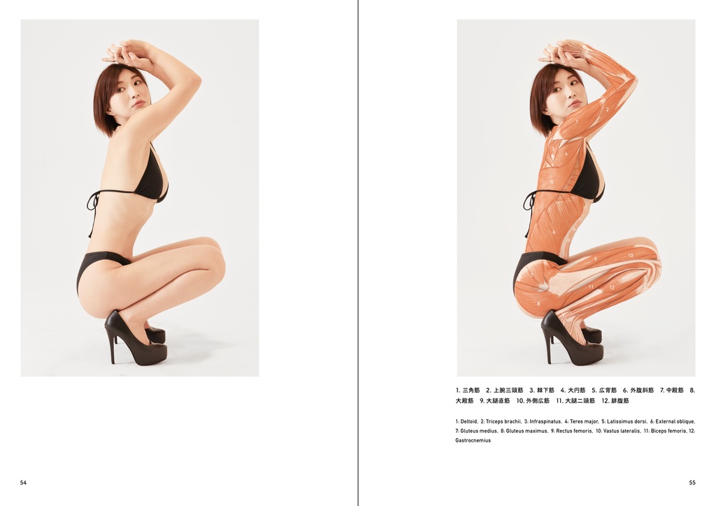 アーティストのための体表解剖学3(PDF)