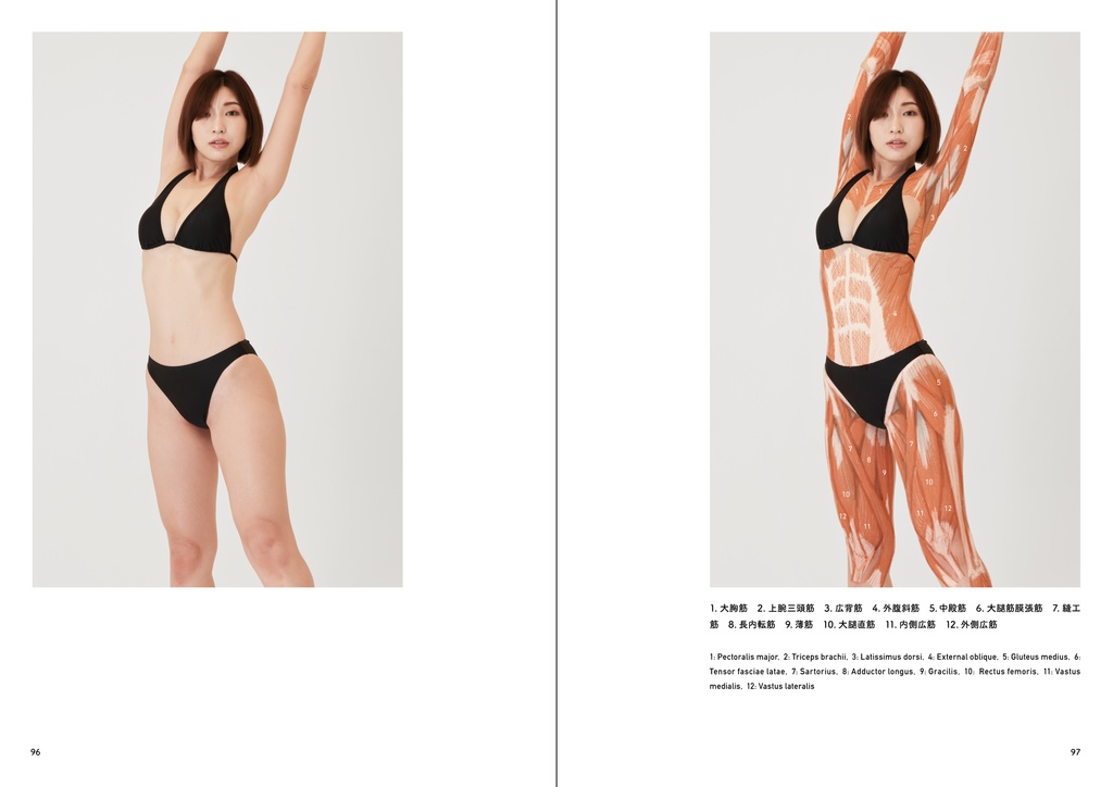 アーティストのための体表解剖学3(PDF)