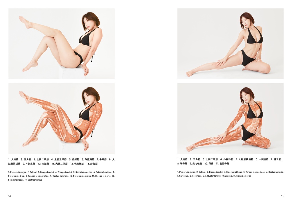 アーティストのための体表解剖学3(PDF)