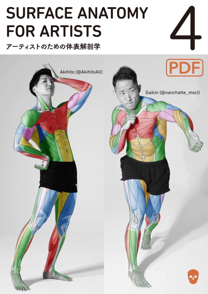 アーティストのための体表解剖学4(PDF)