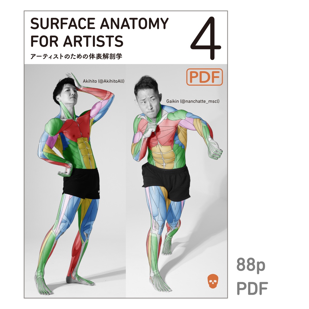 アーティストのための体表解剖学4(PDF)