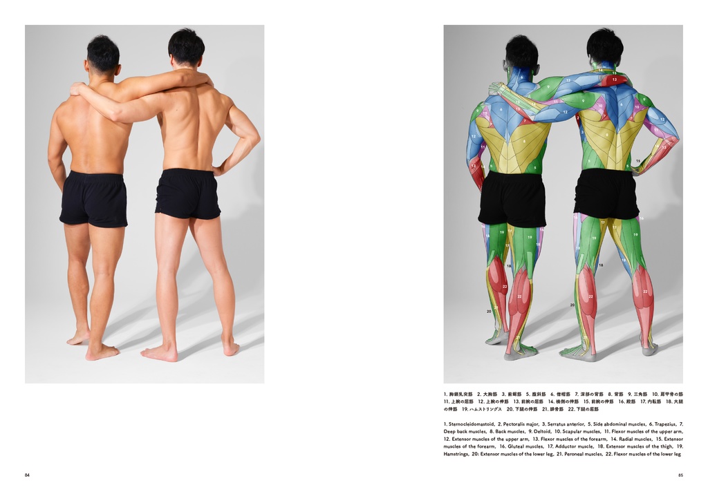 アーティストのための体表解剖学4（PDF） - anatomytutorials