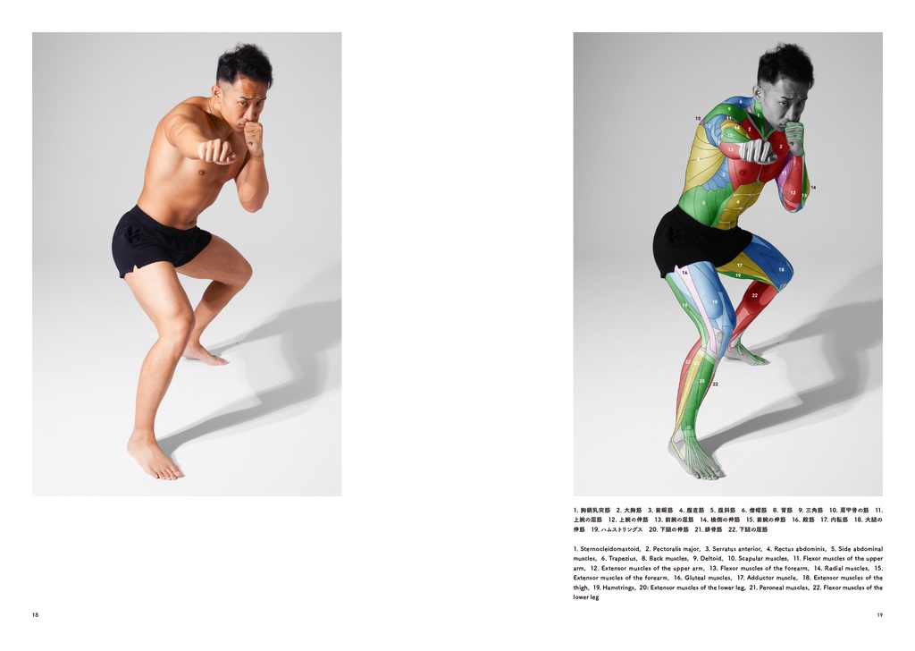 アーティストのための体表解剖学4(PDF)