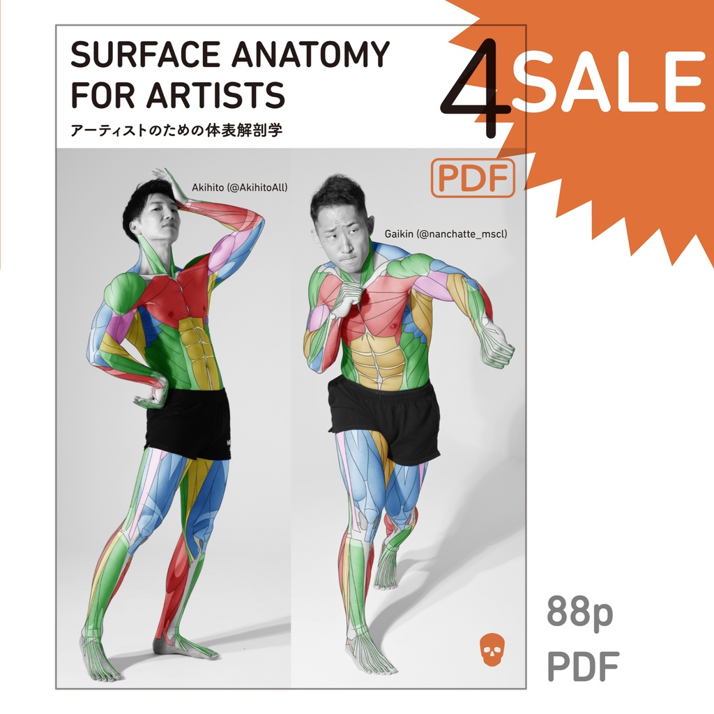 アーティストのための体表解剖学4(PDF)