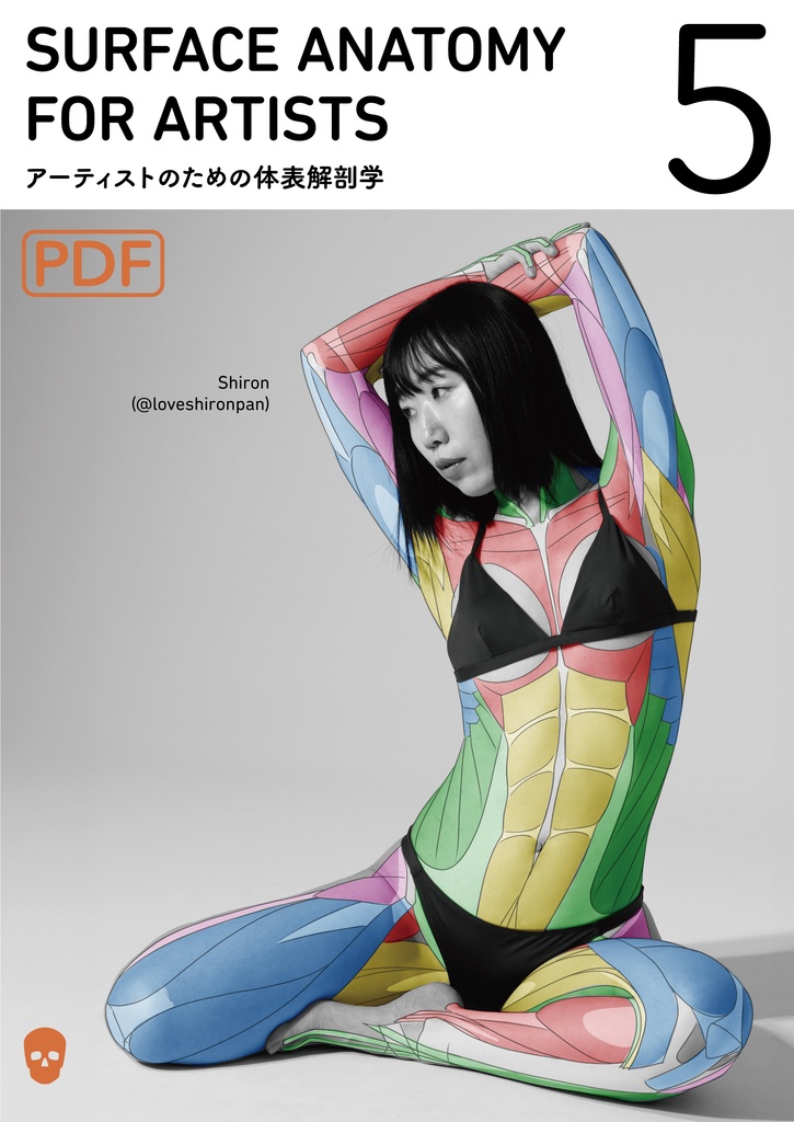 アーティストのための体表解剖学5(PDF)