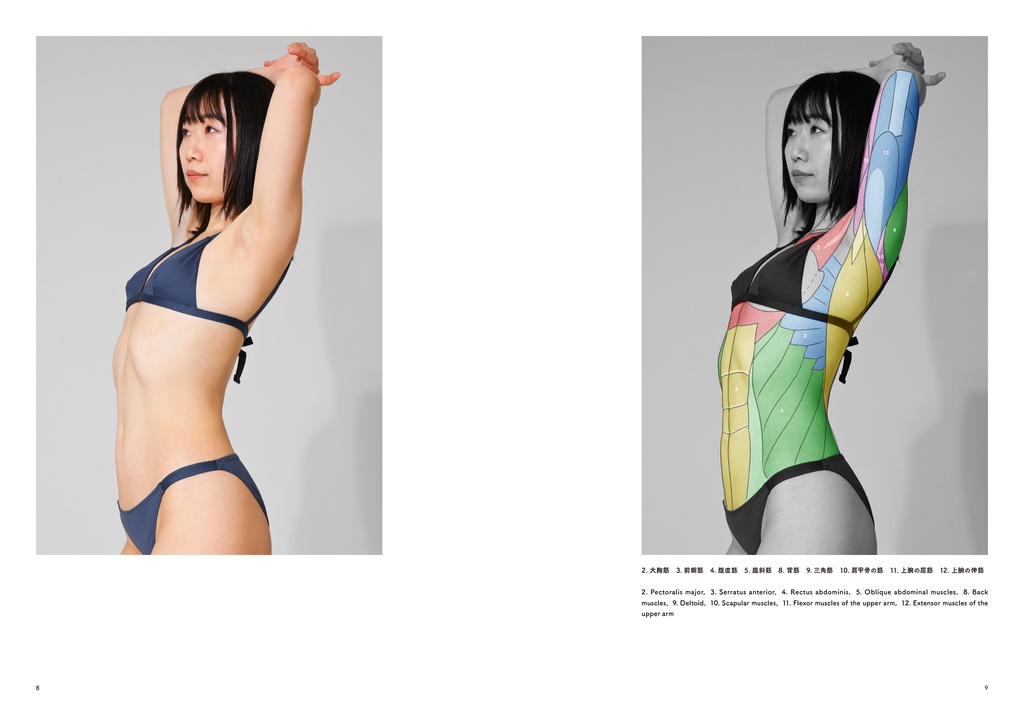 アーティストのための体表解剖学5(PDF)